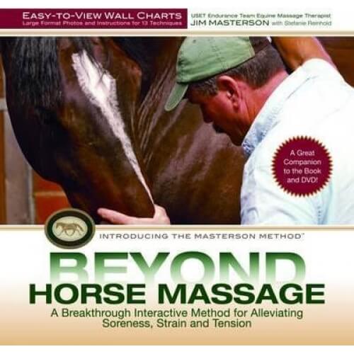 Beyond Horse Massage Wall Chart – Jim Masterson