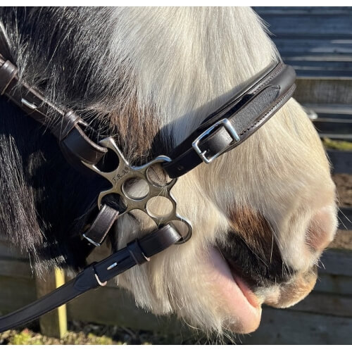 Calli Bubbles Hackamore Bitless Noseband