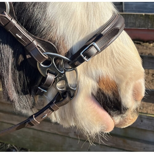 Calli Butterfly Hackamore Bitless Noseband